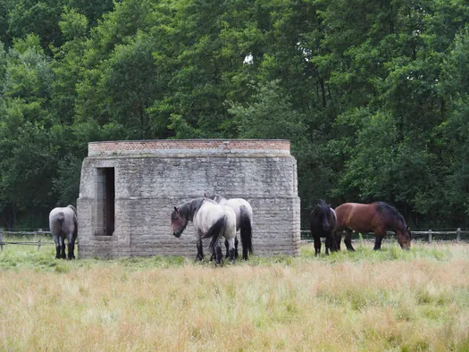 Openluchtmuseum Bokrijk (België)